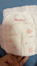 好奇（Huggies）好奇铂金装小桃裤纸尿裤M144片(6-11kg)中号尿不湿【透爽散热】 实拍图