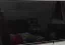 海尔出品统帅电视L43F5C 43英寸开机无广告 京东联名款 京东OS JD 01系列全高清护眼 足球季专属小户型 实拍图