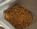 皇家幼猫奶糕 幼猫猫粮 BK34 通用粮 1-4月 2KG 实拍图