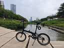 大行（DAHON）P8折叠自行车经典成人20英寸8速折叠车男女式运动单车KBC083 消光黑【经典版】 实拍图