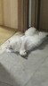 喵招喵招猫零食鸡肉冻干零食猫粮宠物羊奶鸡脖鸡胸肉鸭肉纯肉猫咪饼干 补水落汤鸡90g1包 实拍图