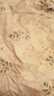 南极人亲肤全棉双拼夏凉被A类抗菌薄被子200x230cm双人空调被夏被 实拍图