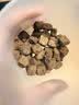 滋益巅峰（ZIWI）微蒸风干草饲配方狗粮30g牛肉味主粮犬粮成犬 实拍图