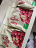 十月稻田 新疆红枣 500g 和田骏枣大枣 休闲零食 蜜饯果干 滋补八宝粥 实拍图