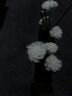 曼丽奇（Man Li Qi）香薰卧室室内无火香薰栀子花去味房间桂花持久留香厕所香氛卫生间 香格里拉【星级酒店香】 单瓶200ml （共到手2瓶400ml） 实拍图