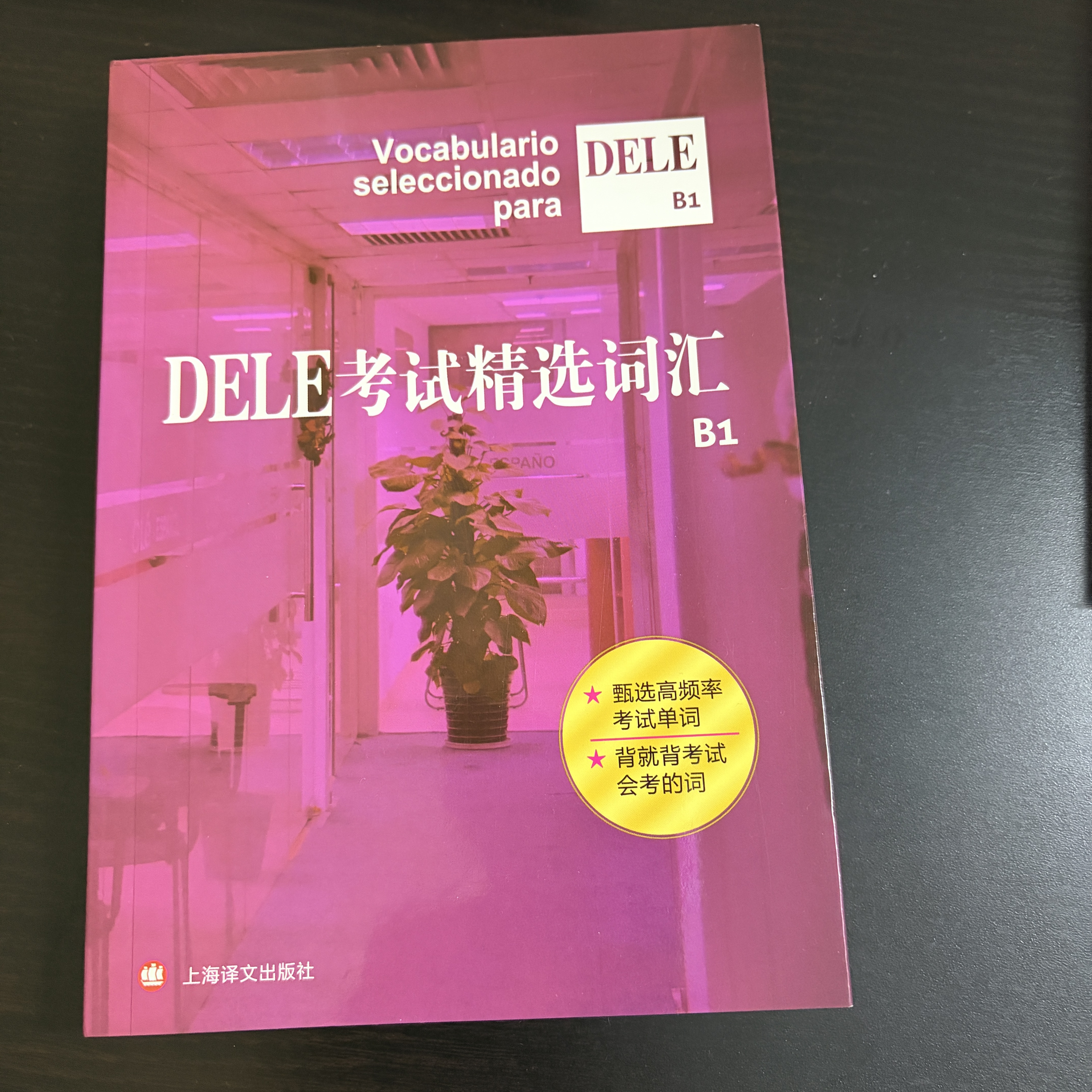 DELE考试精选词汇（B1） 实拍图