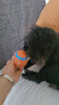 HELLOJOY狗狗玩具宠物小狗自嗨解闷神器磨牙耐咬发声幼犬中型小型犬橄榄球 实拍图