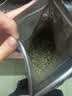 福茗源台湾冻顶乌龙茶叶 2026新茶高山茶冷泡茶叶自己喝口粮茶袋装500g 实拍图