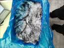 万景国产大虾 盐冻北海白虾(大号) 80-100只净重4斤 聚餐 海鲜 实拍图