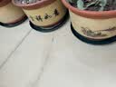 墨斗鱼花盆托底盘花盆托盘底座接水盘圆形塑料树脂加厚23cm*5绿色 实拍图