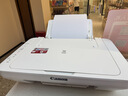 佳能（Canon）MG2580S家用打印机复印扫描一体机彩色喷墨家庭作业照片学生办公小型可加墨 MG2580白色【电脑打印+复印+扫描】 电脑版：套餐二【黑彩可加墨+4色墨水1套+大礼包】 实拍图