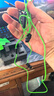雷蛇（Razer）战锤狂鲨V3有线入耳式耳机耳塞 7.1环绕声 吃鸡神器 适配三角洲行动 Type C 战锤狂鲨V3 实拍图