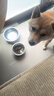 麦富迪狗粮 无谷牛肉双拼狗粮成犬小型犬比熊贵宾缓解泪痕 4.5kg/9斤 实拍图