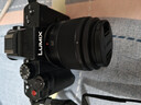 松下（Panasonic）Lumix G100D M43画幅相机 M43卡口 微单相机 无反数码相机 G100D+【12-60+25F1.7】双白盒套装 实拍图