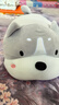 名创优品（MINISO）趴姿大号趣味狗狗毛绒公仔儿童玩具玩偶抱枕生日礼物女 灰色 实拍图