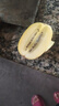 佳沛（zespri）新西兰 阳光金奇异果12粒特大果单果124-146g 猕猴桃水果礼盒 实拍图