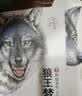 狼王梦沈石溪正版全套5册完整版 动物小说大王品藏书系全集画本 9-10-12岁青少年版小学生四五六年级课外阅读必读书籍寒暑假经典书单 童书儿童文学读物 实拍图