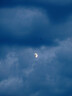 vivoX300 Ultra ZEISS 增距镜G2 Ultra 镜头套装  400mm镜头+手机壳 实拍图