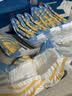 HONEYCARE好命家 狗狗纸尿裤公狗尿不湿生理裤M12片3包装 实拍图