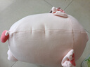 名创优品（MINISO）小猪B-BO弹力超柔趴姿公仔毛绒玩偶儿童玩具抱枕靠枕生日礼物女 实拍图