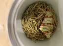 同仁堂品牌 北京同仁堂金银花茶40克 金银花干金银花泡水搭化橘红养生茶 实拍图