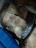 双汇猪小蹄膀净重3斤冷冻猪蹄膀猪肘子切块猪肉酱卤蹄髈 实拍图