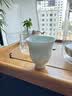 景德镇官方陶瓷影青泡茶杯白瓷功夫茶具喝茶品茗杯男士高档个人专用单杯 【茶桌百搭】远山茶杯（青） 实拍图