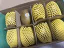 佳沛（zespri）新西兰阳光金奇异果 8个装 超大果单果重约175-204g 猕猴桃水果 实拍图