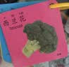 艾杰普（JEPPE）幼儿认知卡片0-6岁宝宝早教玩具看图识字物卡片全套8本生日礼物 实拍图