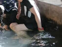 浪莎泳衣女连体裙式保守游泳衣速干遮肉显瘦运动泡温泉大码泳装 实拍图