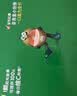 佳沛（zespri）新西兰  阳光金奇异果6粒装 单果约88-103g 猕猴桃水果 实拍图