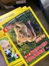 美国国家地理英语分级读物(第1级有声伴读共30册) 儿童英语阅读教材绘本 早教发声书 点读书  省钱卡 实拍图
