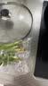 带根香菜100g 实拍图
