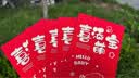 佳妍满月周岁红包 百天生日宴红包袋千元利是封6只【喜添萌宝】 实拍图