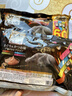 希宝（Sheba）进口猫零食成猫猫条鲣鱼+鸡肉+三文鱼+巴丁鱼12g*40条软包量贩装 实拍图