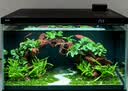 尼特利（NETLEA）滤材细菌屋鱼缸专用净水过滤材料水族养鱼纳米硝化细菌纤维环 微生物纤维环 M号（1L/包） 实拍图