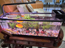 阔庭（KUOTING）鱼缸水族箱客厅桌面生态造景家用带灯制氧过滤鱼缸黑色【超大号】 实拍图