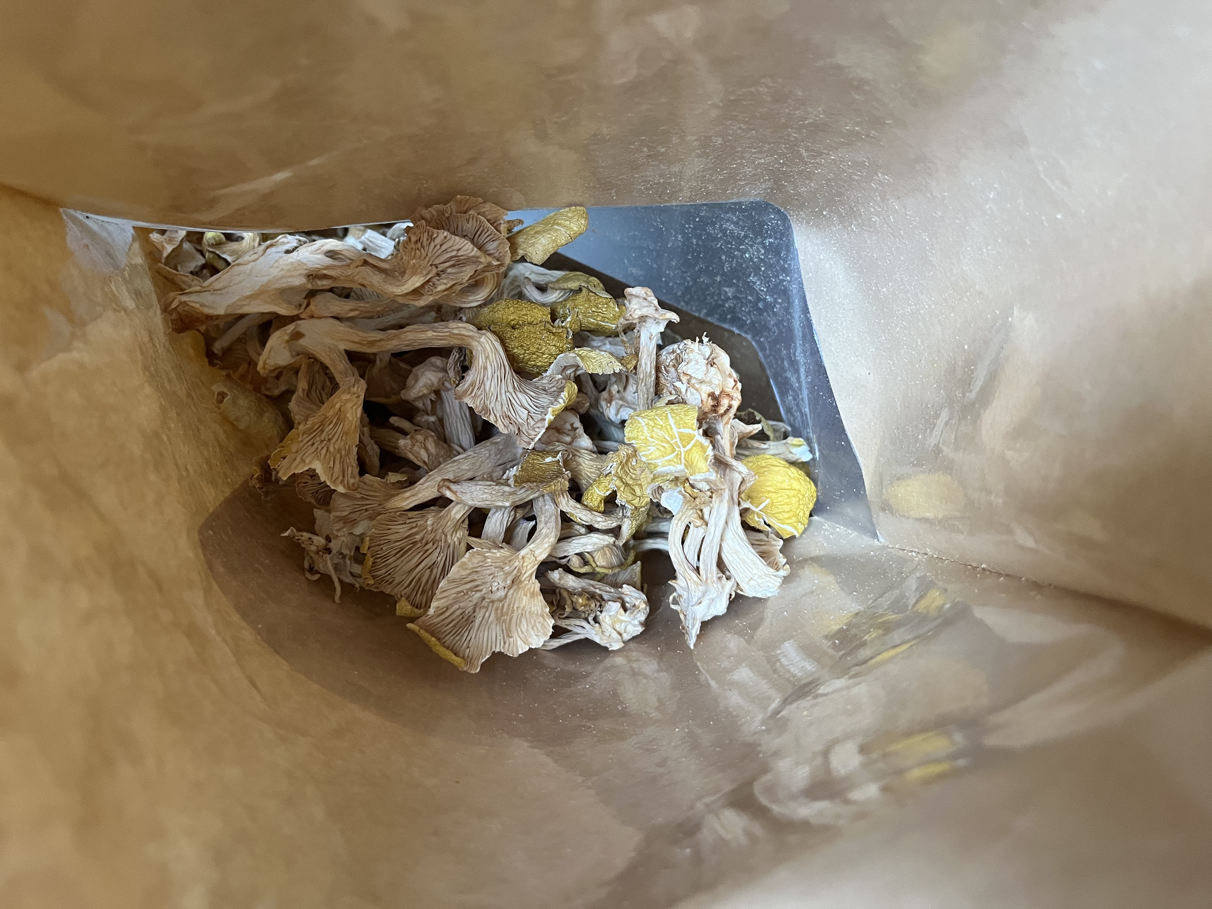 楷美云南鸡油菌干货100g/袋 菌菇干货煲汤炒菜特产菌菇 实拍图