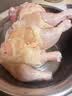 上鲜鸡全腿净重4.8斤烤鸡腿炸鸡腿鸡肉鸡全腿大腿清真食材 源头直发 实拍图