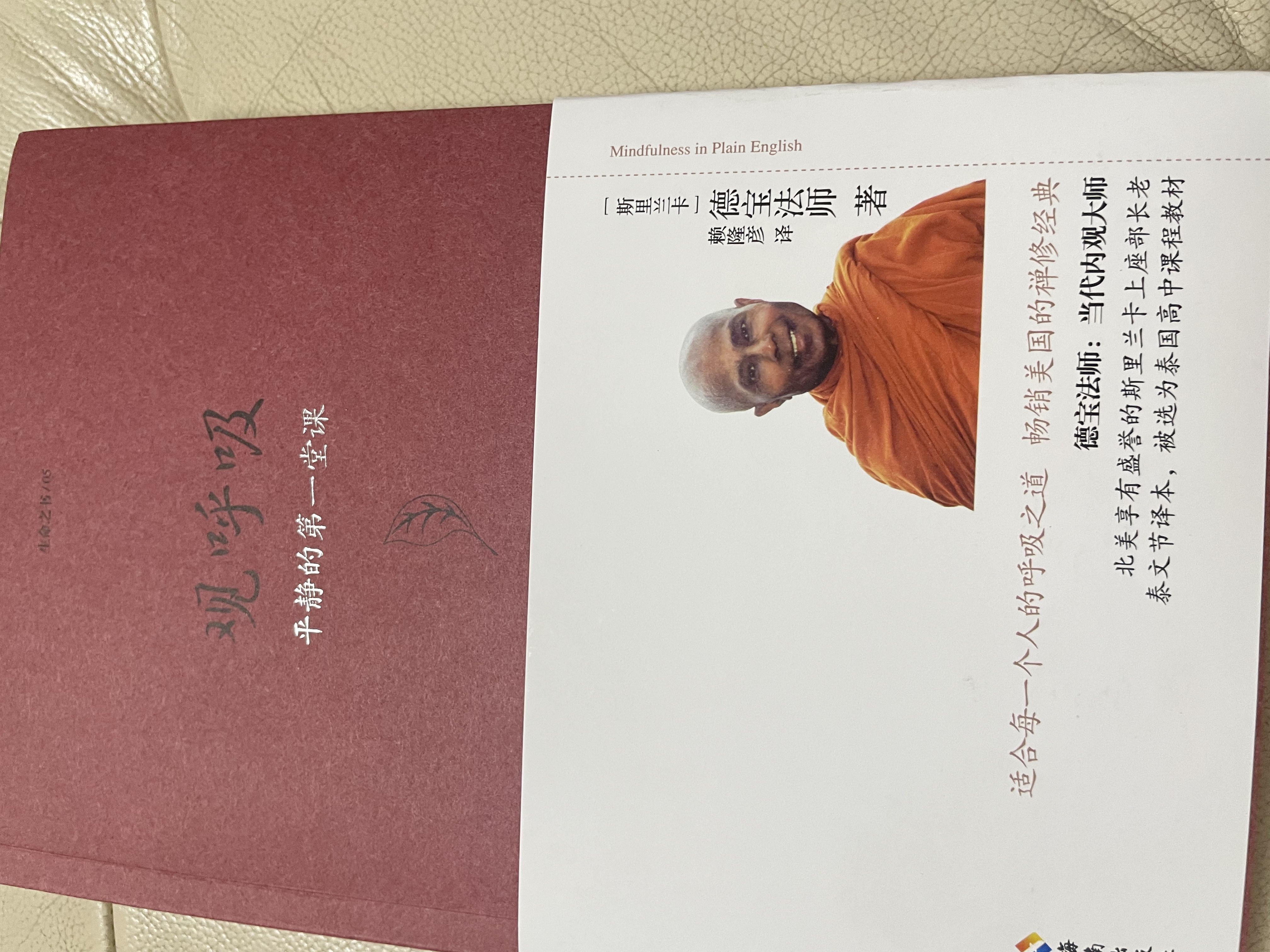 观呼吸 当代内观大师德宝法师代表作 实拍图