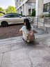CinvaiKrose小c&k双肩包女2026新款大容量学生书包女背包生日七夕情人节礼物 瑞士糖杏Apricot【节日送礼可代写心意贺卡】 实拍图