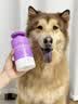 雪貂留香宠物沐浴露 泰迪比熊柴犬萨摩耶专用蓬松柔顺狗狗浴液 柔顺护毛素 实拍图