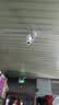 小米智能摄像机 3 3K家用云台摄像头500万像素室内监控器360度无死角带夜视手机远程婴儿宠物 实拍图