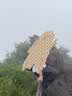骆驼（CAMEL）【盘龙】户外登山鞋男女越野运动跑鞋防泼水防滑徒步鞋  6784  40 实拍图