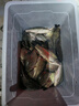 川泽伊势尼鱼钩子线双钩成品绑好挂仕防缠绕钩套装野钓湖库大物鲢鳙钩 钩9#线3.0#+钩10#线3.0# 20副组合装 实拍图