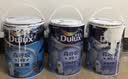 多乐士（Dulux） 森呼吸淳零无添加硅藻抗甲醛五合一 乳胶漆油漆涂料墙面漆 A8211 15L套装可调色（调色后不退换） 实拍图