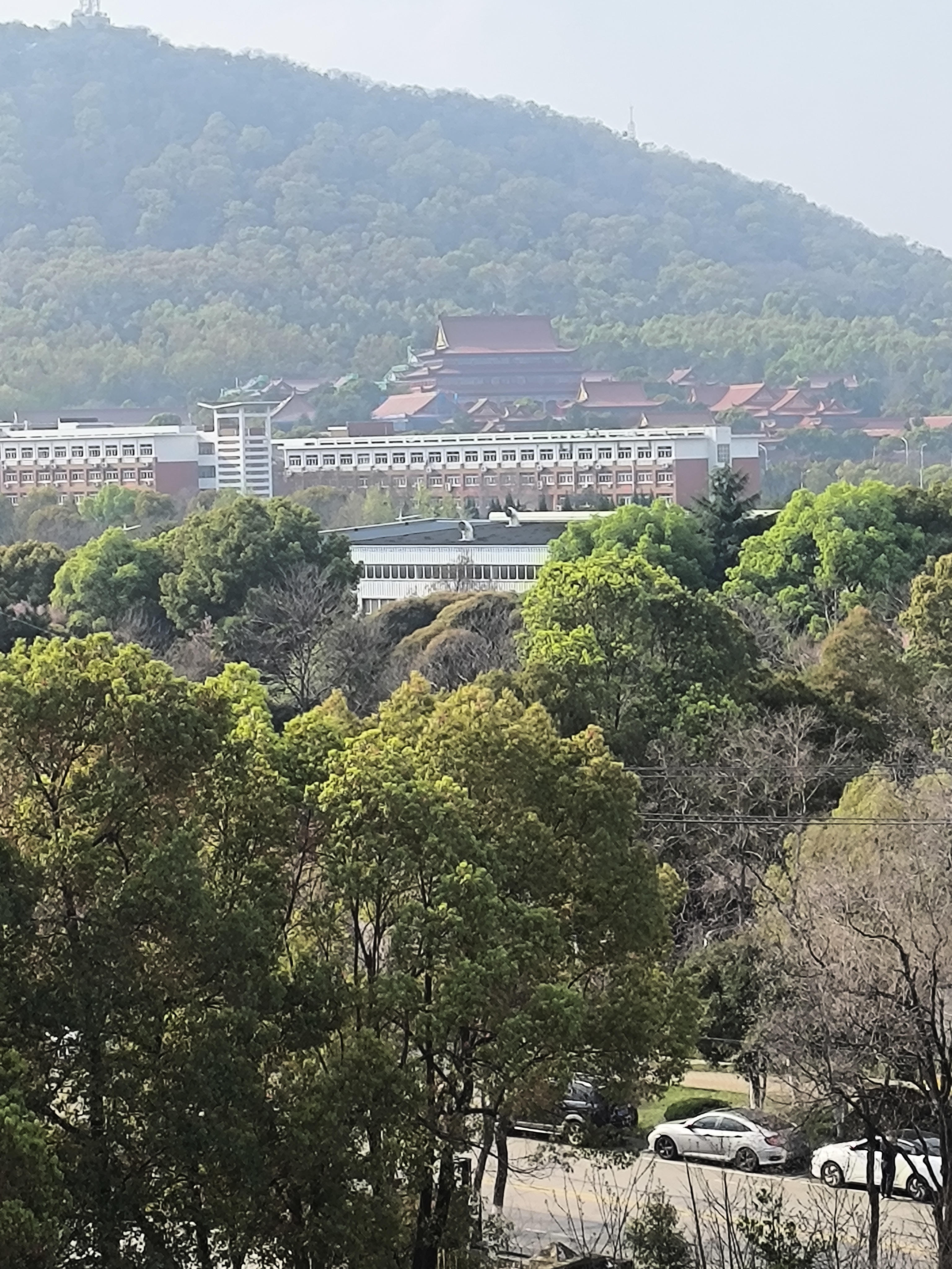 回力骑行手套全指防晒登山手套开车钓鱼运动自行车摩托车防滑薄款男女 黑橙-全指【升级防晒防滑透气】 实拍图