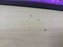 美的（Midea）蓄电式灭蚊灯家商两用灭蚊器驱蚊器物理仿生紫光诱蚊基孔肯雅热 实拍图
