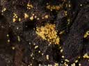 中茶黑茶广西梧州窖藏六堡茶1118一级箩筐装500g 中华老字号 实拍图