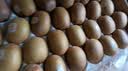 佳沛（zespri）新西兰阳光金奇异果巨大果22粒原箱单果146-175g 猕猴桃水果礼盒 实拍图